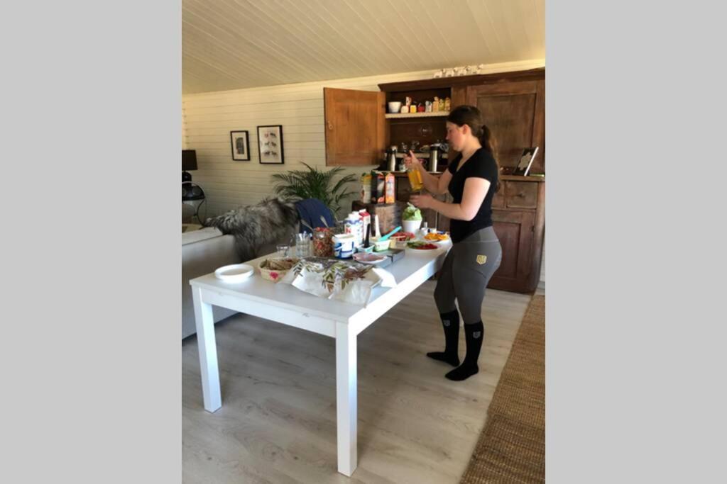 Egen Villa Pa Islandshastgard Riddarhyttan Bagian luar foto